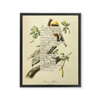 Bird Divinations: Brown Pelican (about: almanacofbirds.org) Framed Canvas Print Gallery Image 6