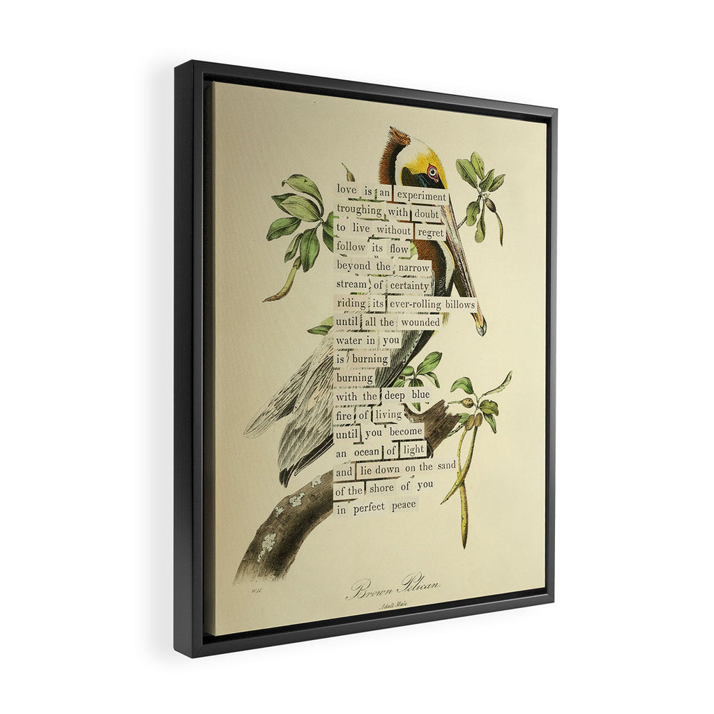 Bird Divinations: Brown Pelican (about: almanacofbirds.org) Framed Canvas Print Gallery Image 2