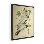 Bird Divinations: Brown Pelican (about: almanacofbirds.org) Framed Canvas Print Gallery Image 2