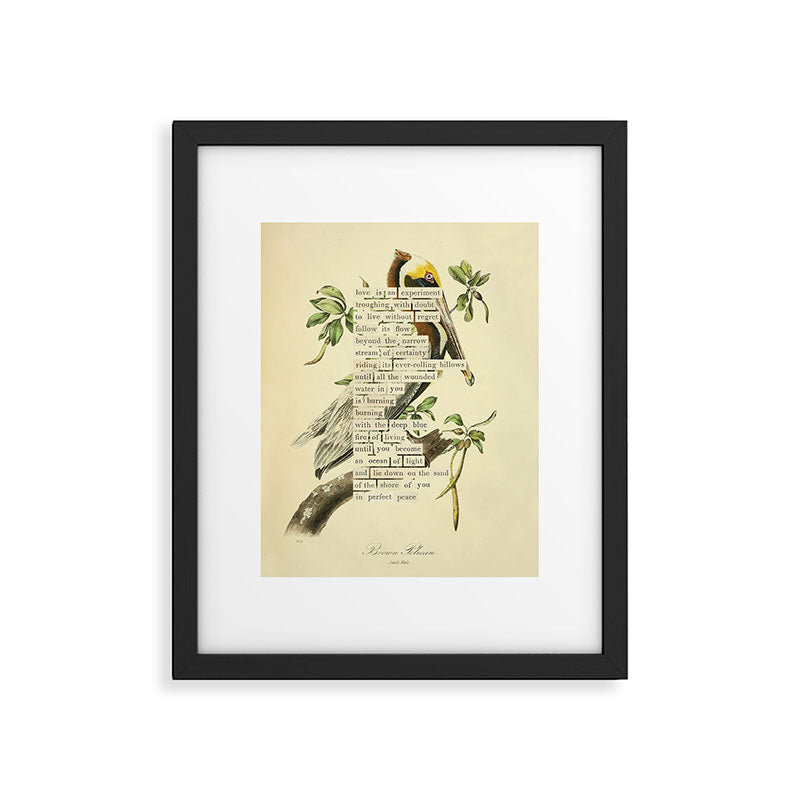 Bird Divinations: Brown Pelican (about: almanacofbirds.org) Framed Art Print Gallery Image 4