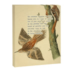 Bird Divinations: Brown Tree-creeper (about: almanacofbirds.org) Canvas Print Gallery Image 6