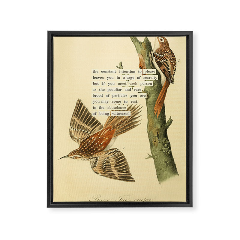 Bird Divinations: Brown Tree-creeper (about: almanacofbirds.org) Framed Canvas Print Gallery Image 6