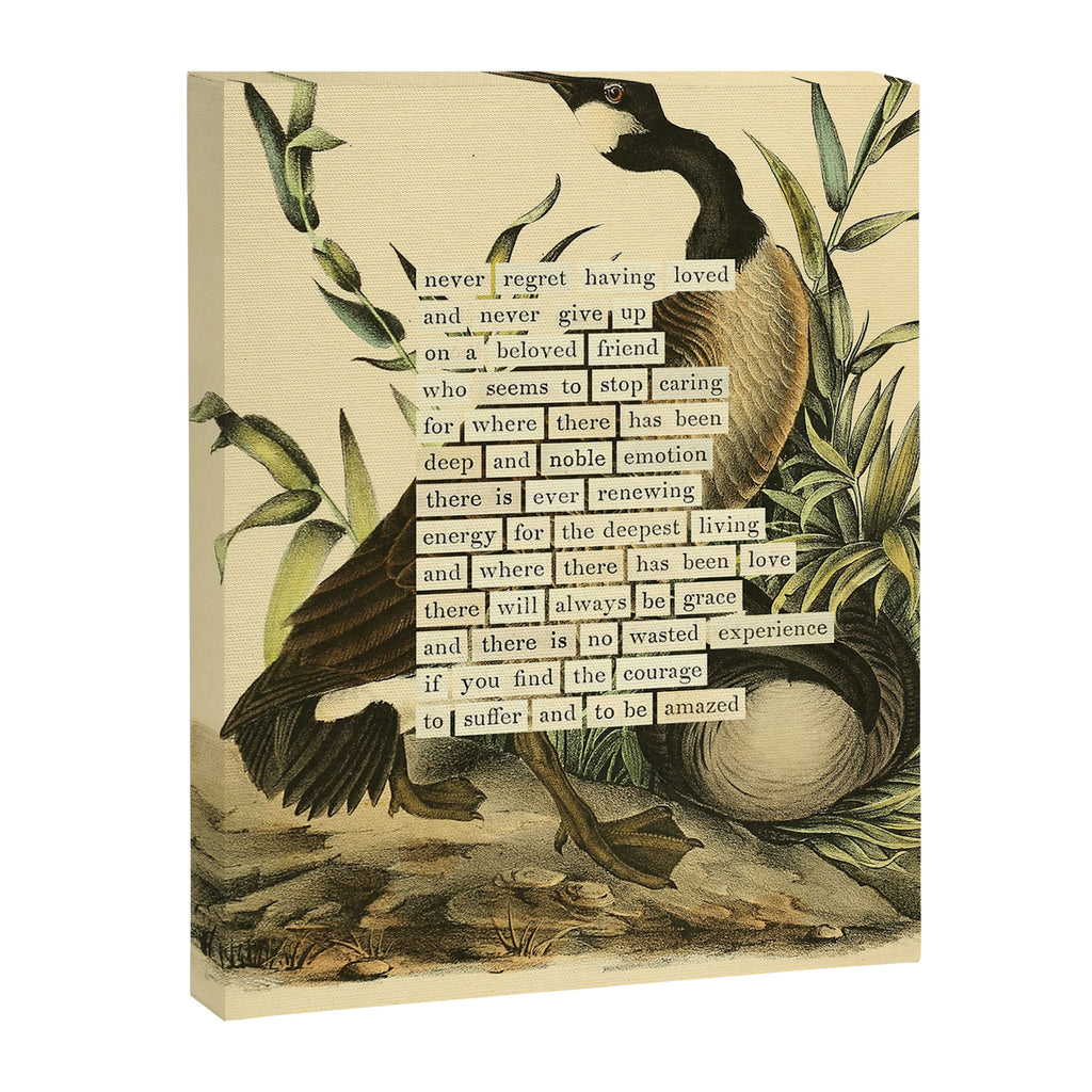 Bird Divinations: Canada goose (about: almanacofbirds.org) Canvas Print Gallery Image 6