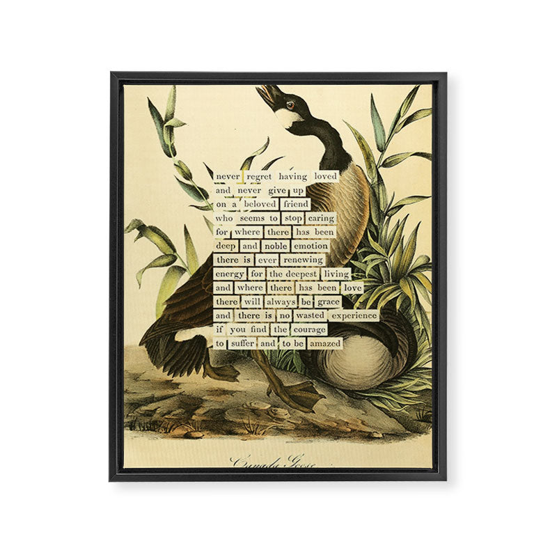 Bird Divinations: Canada goose (about: almanacofbirds.org) Framed Canvas Print Gallery Image 6
