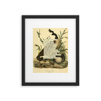 Bird Divinations: Canada goose (about: almanacofbirds.org) Framed Art Print Gallery Image 5