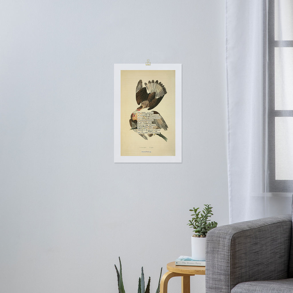 Bird Divinations: Caracara Eagle (about: almanacofbirds.org) Art Print Gallery Image 3