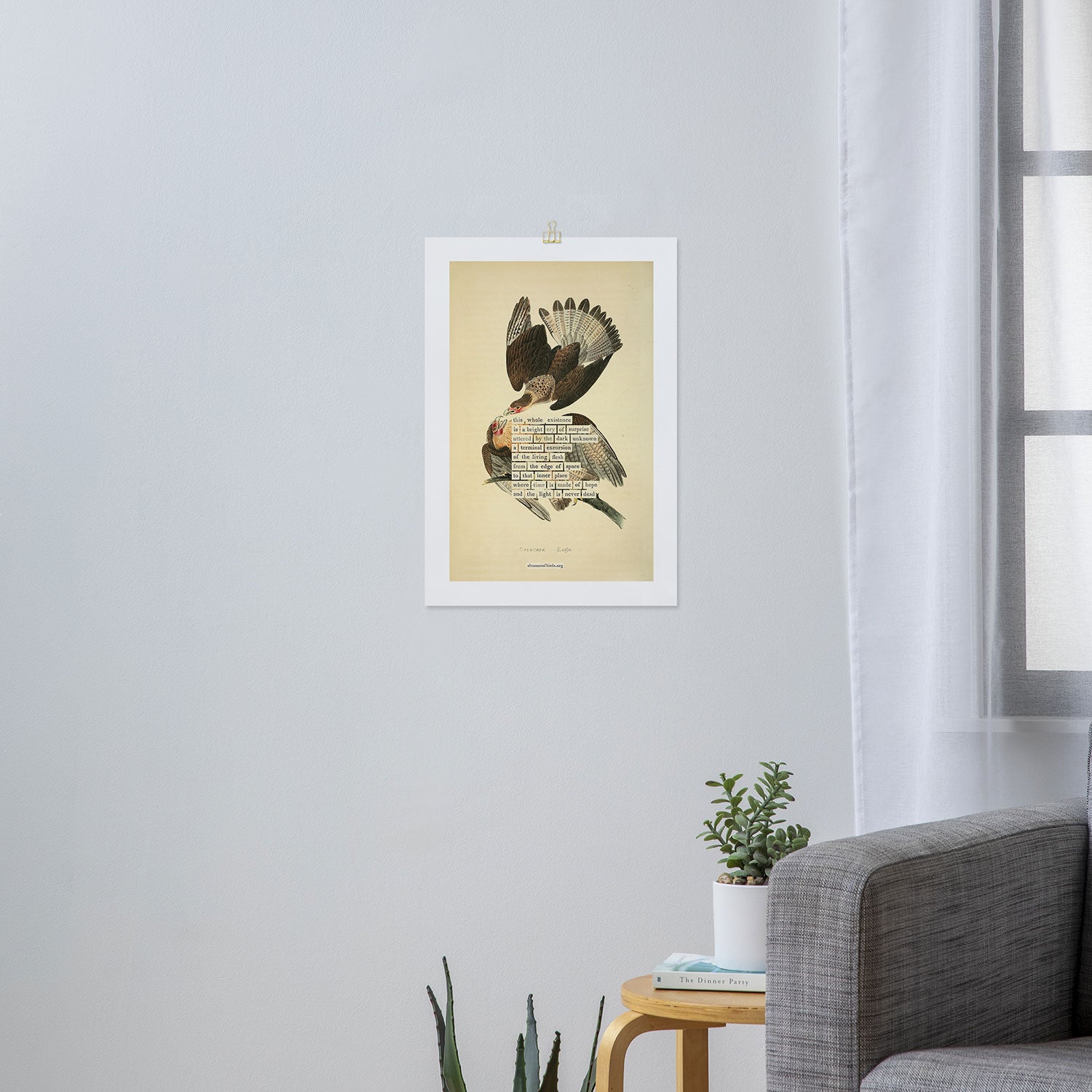 Bird Divinations: Caracara Eagle (about: almanacofbirds.org) Art Print Gallery Image 3