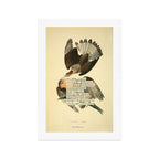 Bird Divinations: Caracara Eagle (about: almanacofbirds.org) Art Print Gallery Image 1