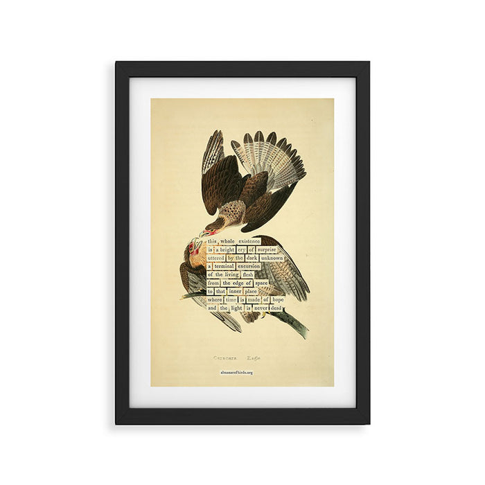 Bird Divinations: Caracara Eagle (about: almanacofbirds.org) Framed Art Print Gallery Image 1