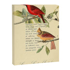 Bird Divinations: Cardinal (about: almanacofbirds.org) Canvas Print Gallery Image 6