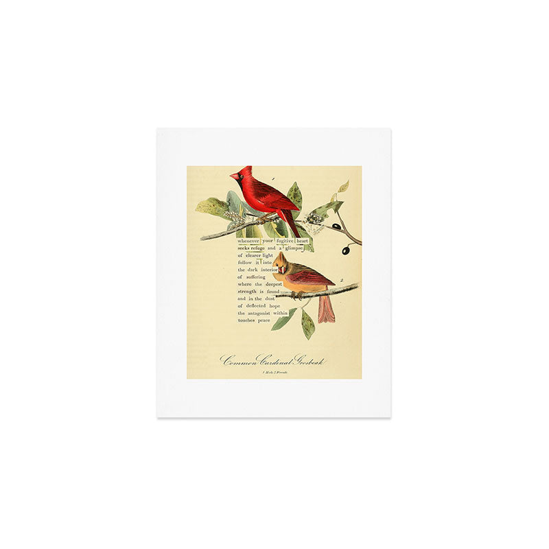 Bird Divinations: Cardinal (about: almanacofbirds.org) Art Print Gallery Image 1