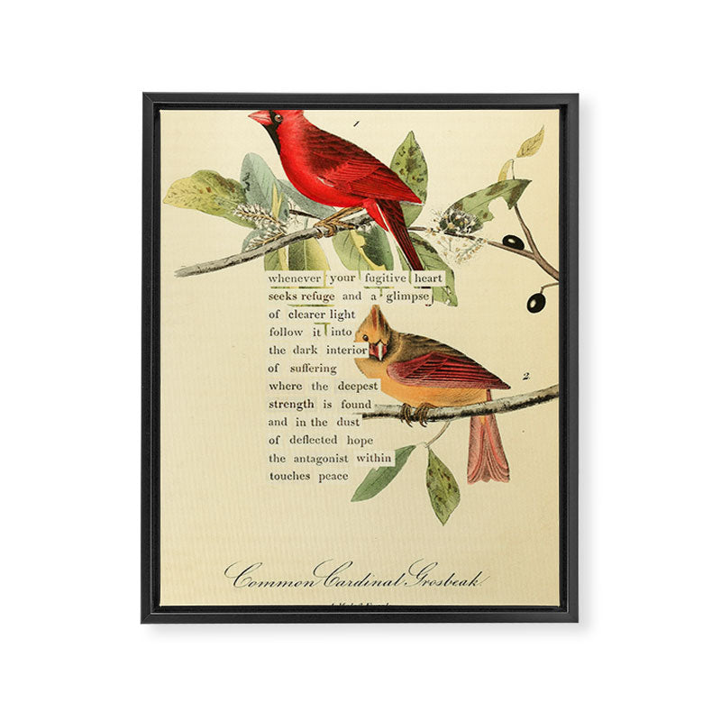 Bird Divinations: Cardinal (about: almanacofbirds.org) Framed Canvas Print Gallery Image 6