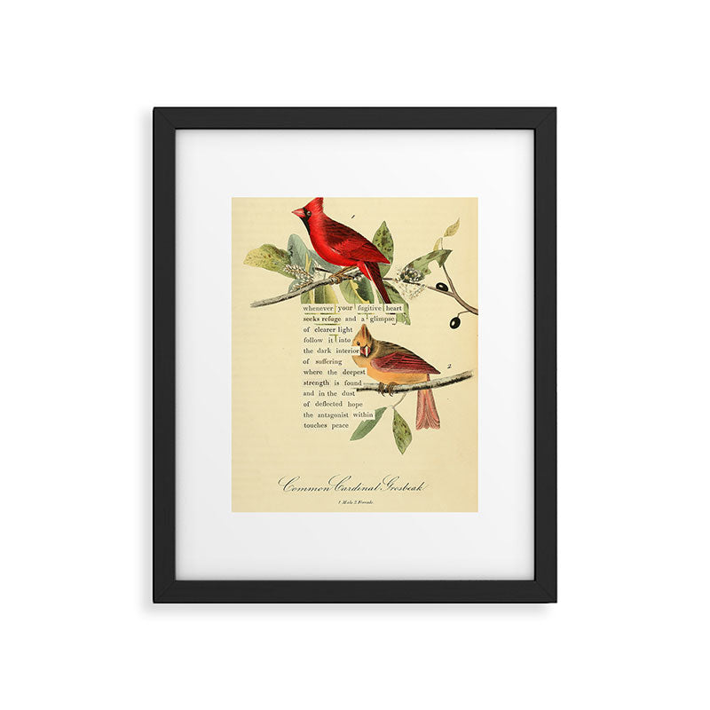 Bird Divinations: Cardinal (about: almanacofbirds.org) Framed Art Print Gallery Image 4