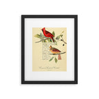 Bird Divinations: Cardinal (about: almanacofbirds.org) Framed Art Print Gallery Image 5