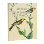 Bird Divinations: Chestnut-Sided Wood Warbler (about: almanacofbirds.org) Canvas Print Gallery Image 6
