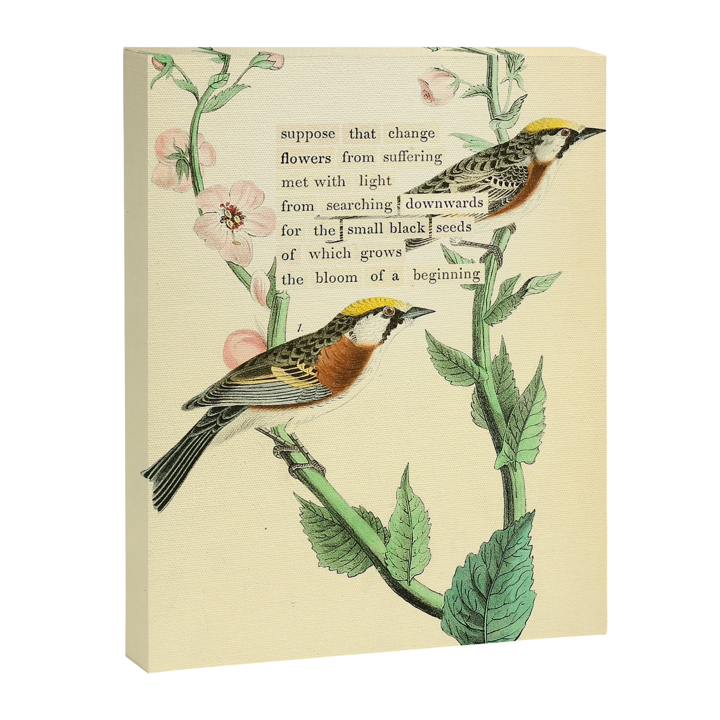 Bird Divinations: Chestnut-Sided Wood Warbler (about: almanacofbirds.org) Canvas Print Gallery Image 6