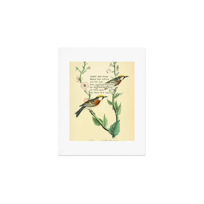 Bird Divinations: Chestnut-Sided Wood Warbler (about: almanacofbirds.org) Art Print Gallery Image 1