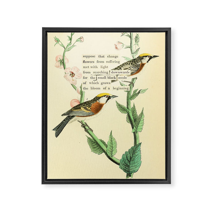 Bird Divinations: Chestnut-Sided Wood Warbler (about: almanacofbirds.org) Framed Canvas Print Gallery Image 1