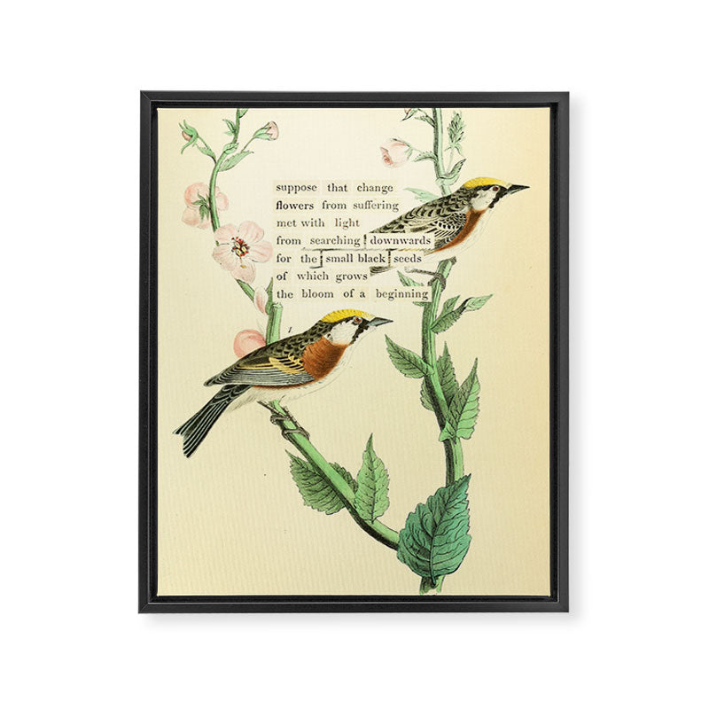 Bird Divinations: Chestnut-Sided Wood Warbler (about: almanacofbirds.org) Framed Canvas Print Gallery Image 6