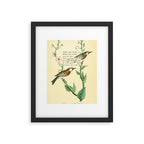 Bird Divinations: Chestnut-Sided Wood Warbler (about: almanacofbirds.org) Framed Art Print Gallery Image 4