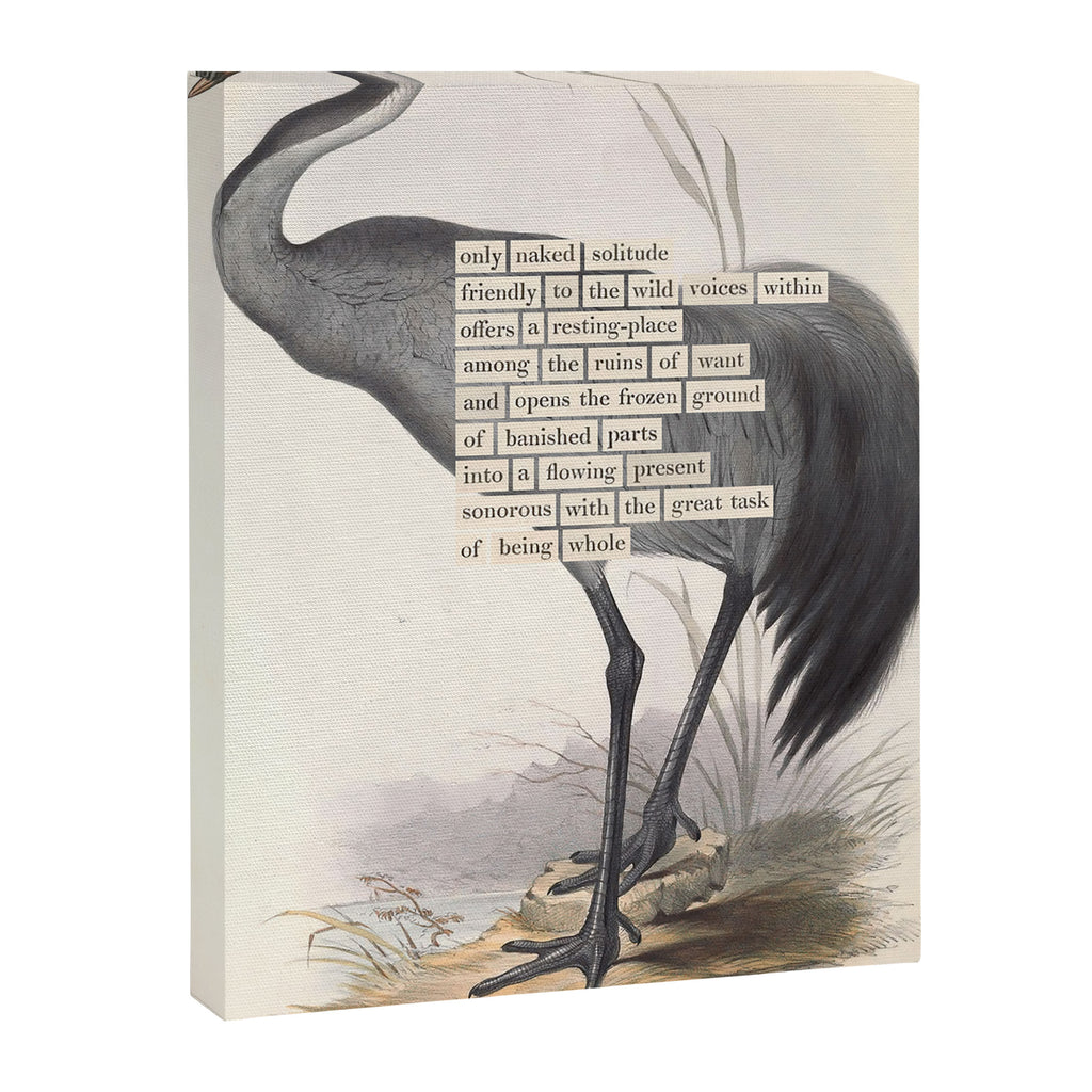 Bird Divinations: Common Crane (about: almanacofbirds.org) Canvas Print Gallery Image 6