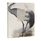Bird Divinations: Common Crane (about: almanacofbirds.org) Canvas Print Gallery Image 6