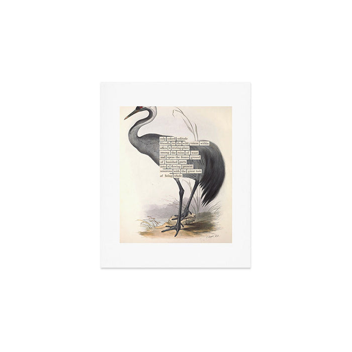 Bird Divinations: Common Crane (about: almanacofbirds.org) Art Print Gallery Image 1