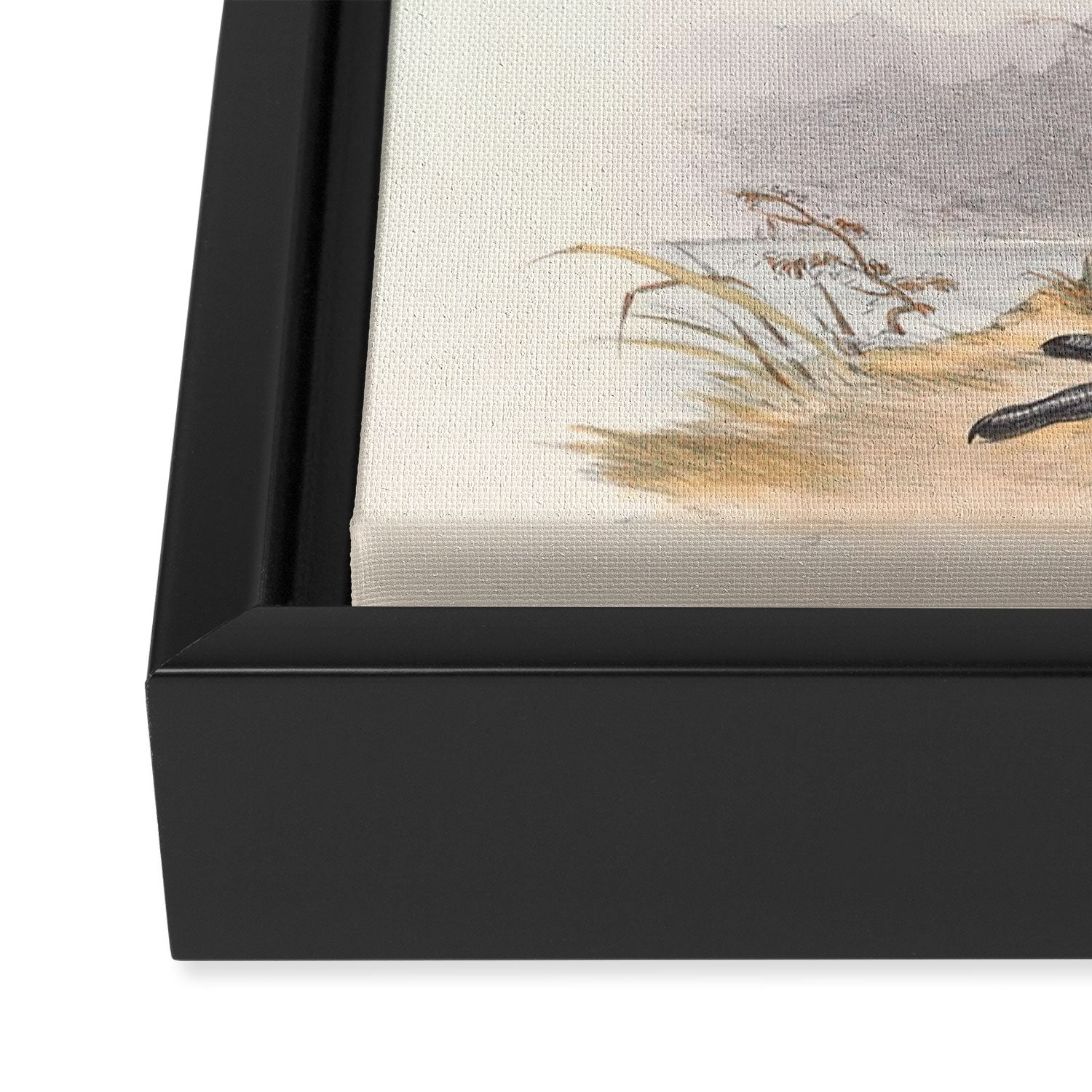 Bird Divinations: Common Crane (about: almanacofbirds.org) Framed Canvas Print Gallery Image 3