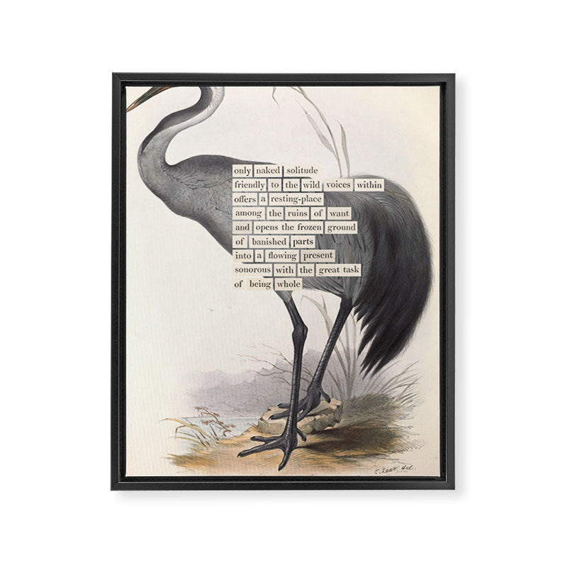 Bird Divinations: Common Crane (about: almanacofbirds.org) Framed Canvas Print Gallery Image 6