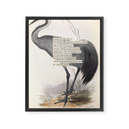 Bird Divinations: Common Crane (about: almanacofbirds.org) Framed Canvas Print Gallery Image 6