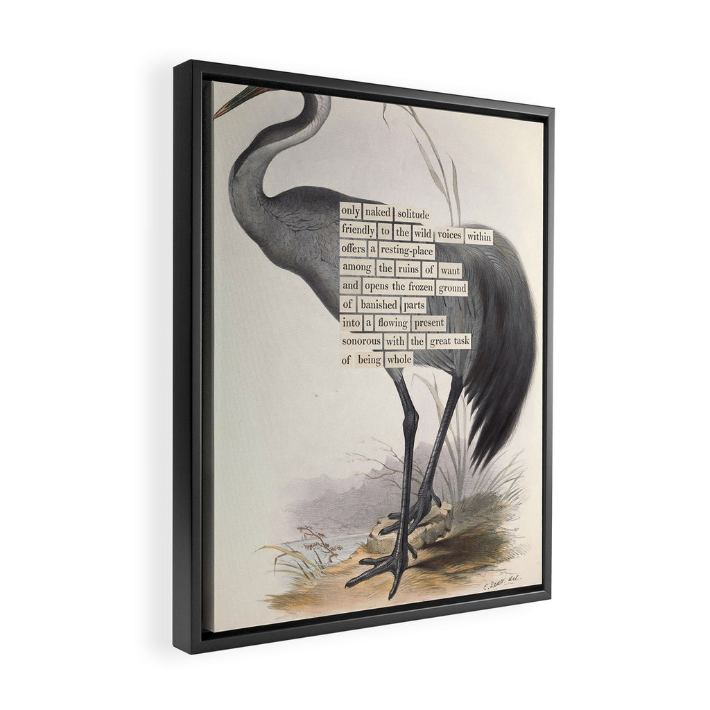 Bird Divinations: Common Crane (about: almanacofbirds.org) Framed Canvas Print Gallery Image 2