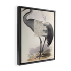 Bird Divinations: Common Crane (about: almanacofbirds.org) Framed Canvas Print Gallery Image 2