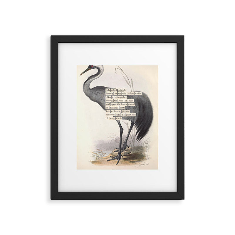 Bird Divinations: Common Crane (about: almanacofbirds.org) Framed Art Print Gallery Image 5