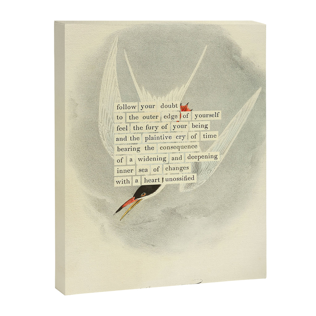 Bird Divinations: Common Tern (about: almanacofbirds.org) Canvas Print Gallery Image 6