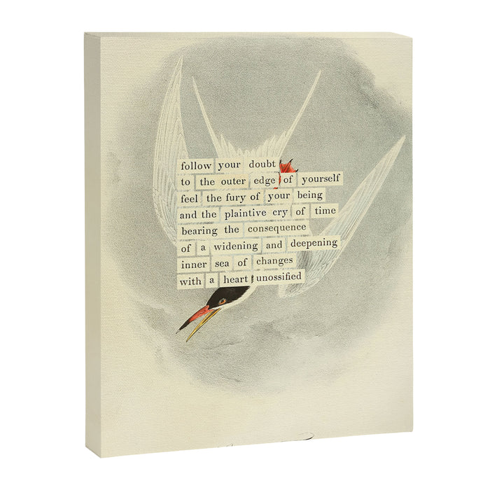 Bird Divinations: Common Tern (about: almanacofbirds.org) Canvas Print Gallery Image 1