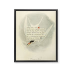 Bird Divinations: Common Tern (about: almanacofbirds.org) Framed Canvas Print Gallery Image 6