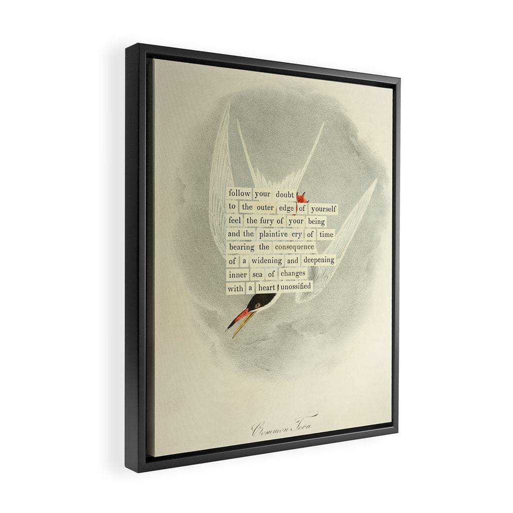 Bird Divinations: Common Tern (about: almanacofbirds.org) Framed Canvas Print Gallery Image 2