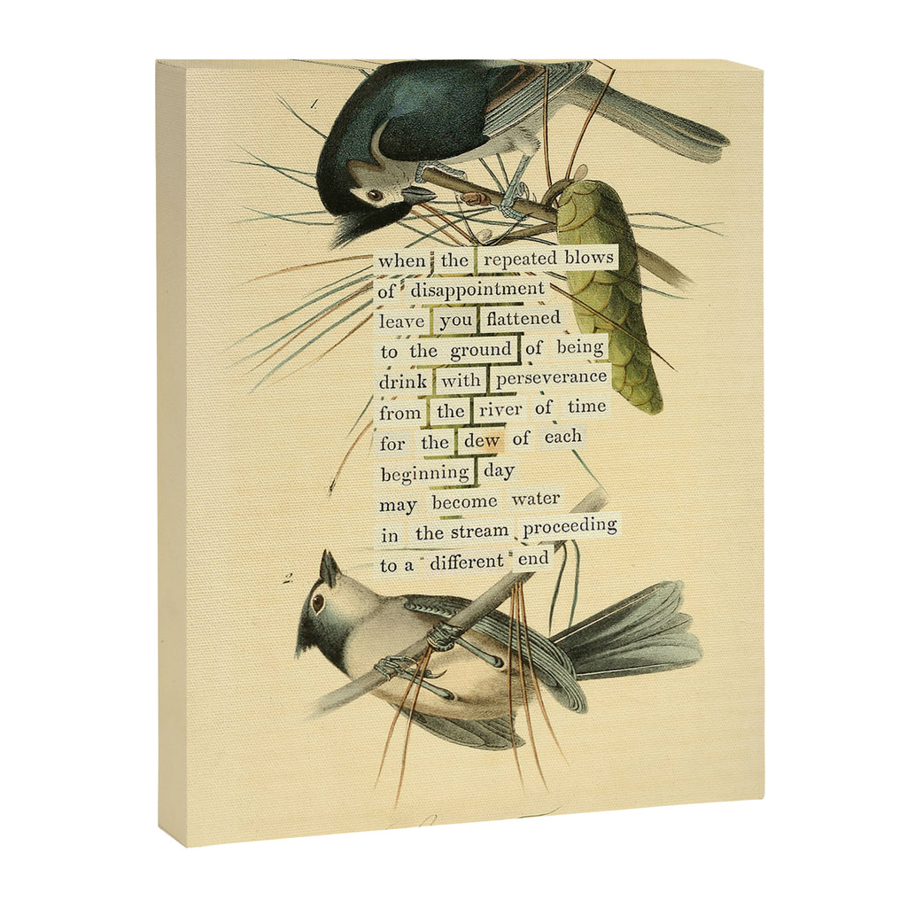 Bird Divinations: Crested Titmouse (about: almanacofbirds.org) Canvas Print Gallery Image 6