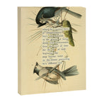 Bird Divinations: Crested Titmouse (about: almanacofbirds.org) Canvas Print Gallery Image 6