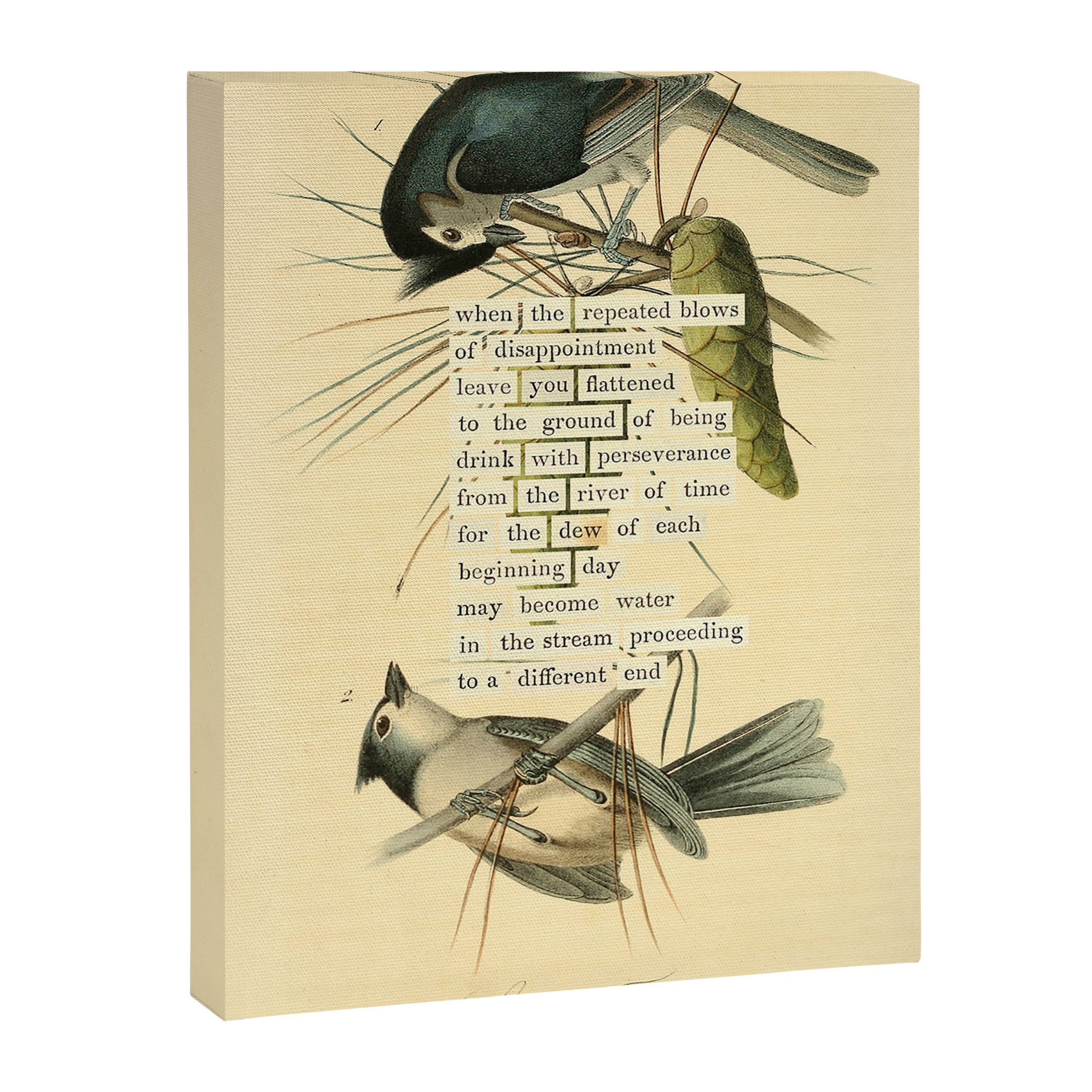 Bird Divinations: Crested Titmouse (about: almanacofbirds.org) Canvas Print Gallery Image 6