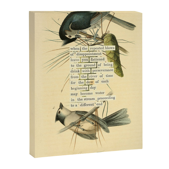 Bird Divinations: Crested Titmouse (about: almanacofbirds.org) Canvas Print Gallery Image 1