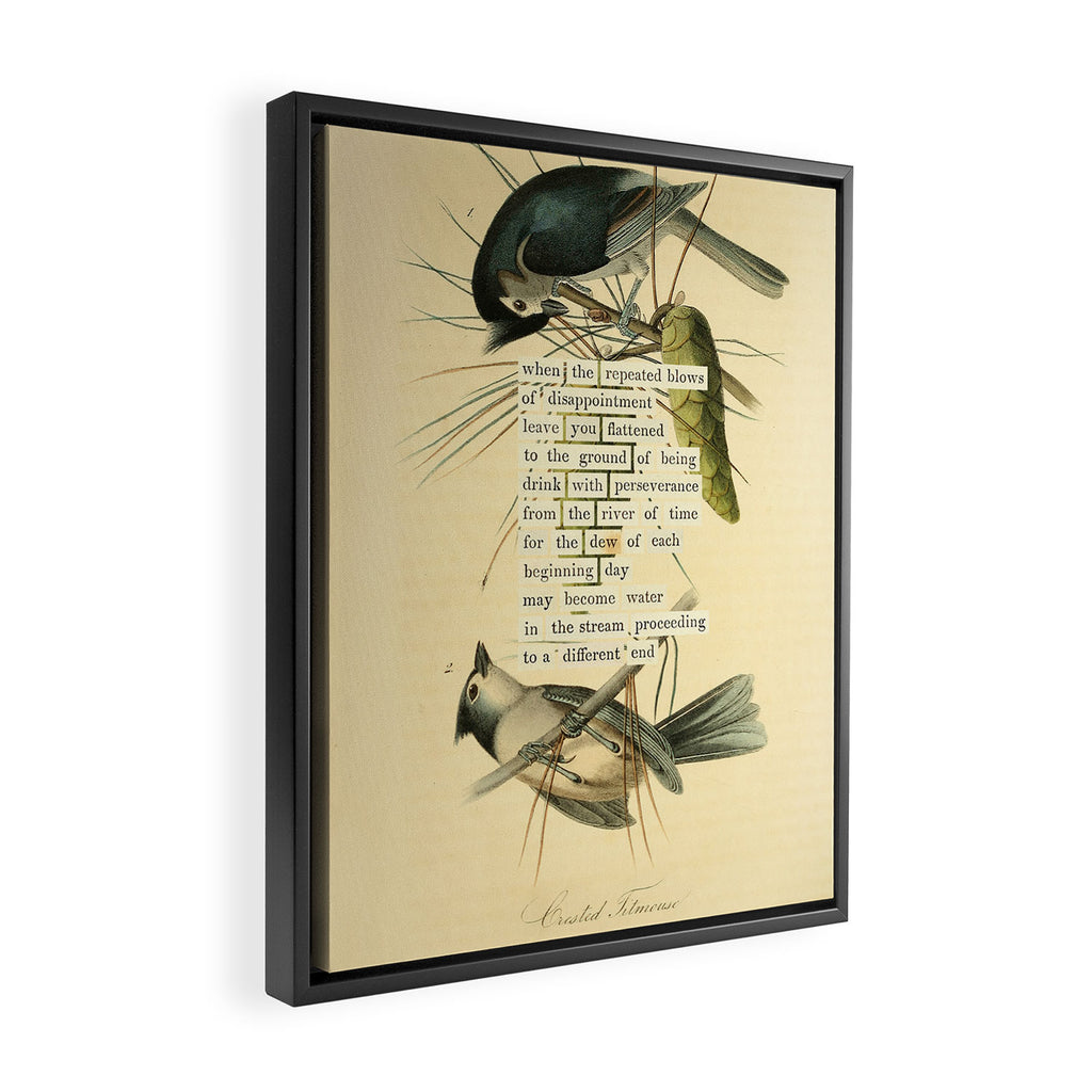 Bird Divinations: Crested Titmouse (about: almanacofbirds.org) Framed Canvas Print Gallery Image 2