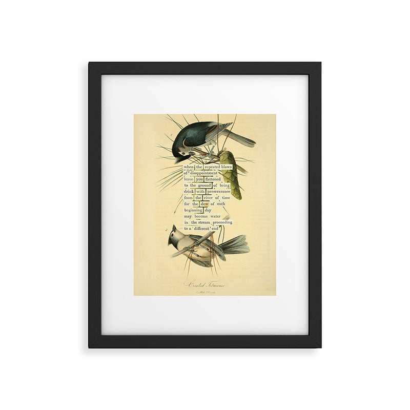 Bird Divinations: Crested Titmouse (about: almanacofbirds.org) Framed Art Print Gallery Image 5
