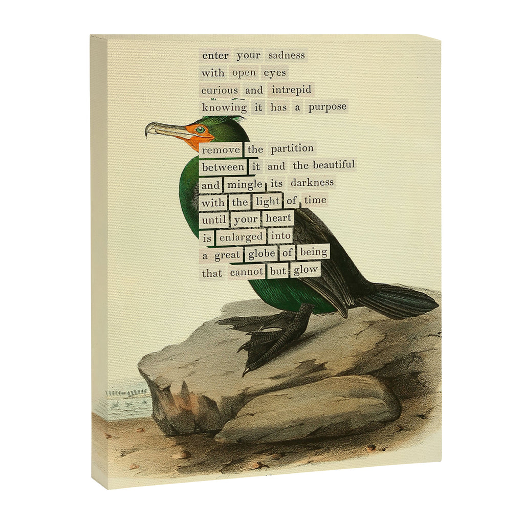 Bird Divinations: Double-Crested Cormorant (about: almanacofbirds.org) Canvas Print Gallery Image 6