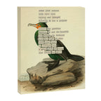 Bird Divinations: Double-Crested Cormorant (about: almanacofbirds.org) Canvas Print Gallery Image 6