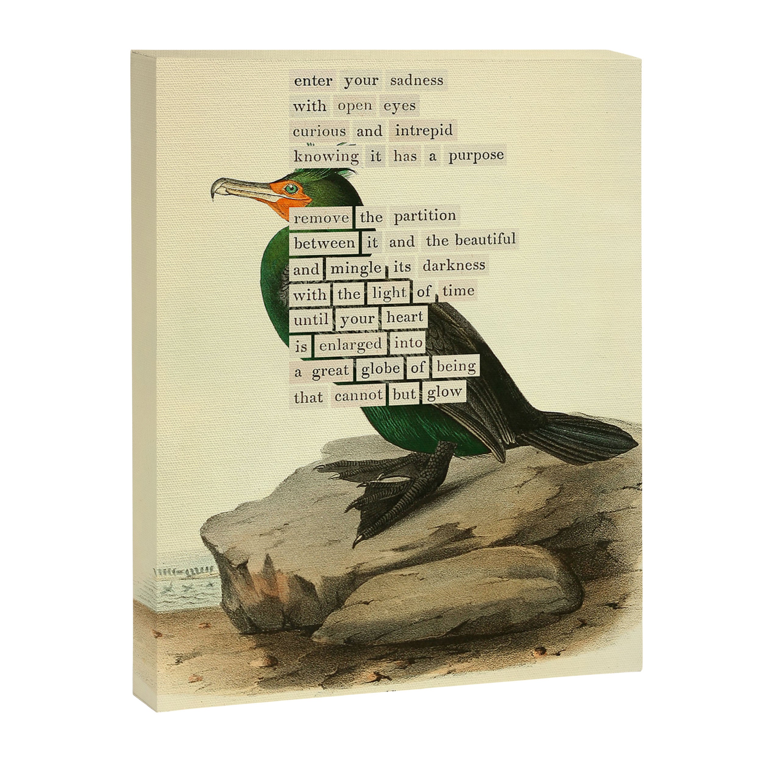 Bird Divinations: Double-Crested Cormorant (about: almanacofbirds.org) Canvas Print Gallery Image 6