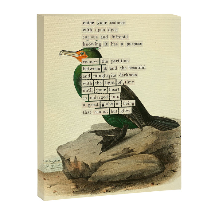 Bird Divinations: Double-Crested Cormorant (about: almanacofbirds.org) Canvas Print Gallery Image 1