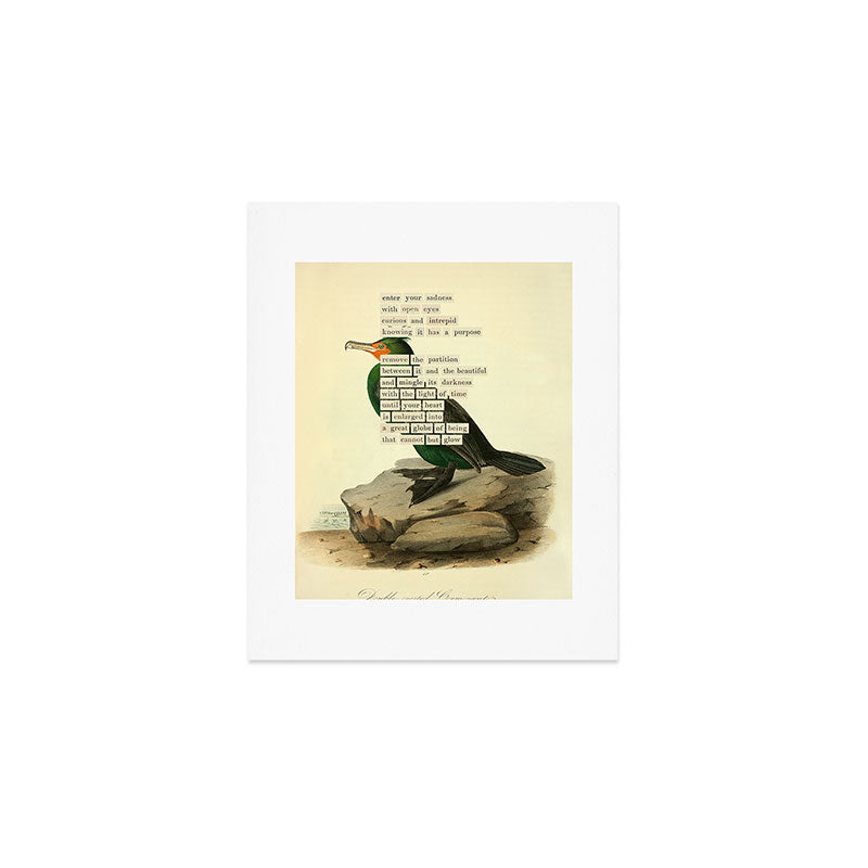 Bird Divinations: Double-Crested Cormorant (about: almanacofbirds.org) Art Print Gallery Image 1