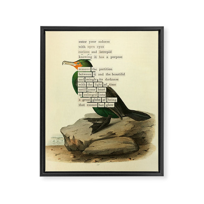 Bird Divinations: Double-Crested Cormorant (about: almanacofbirds.org) Framed Canvas Print Gallery Image 1
