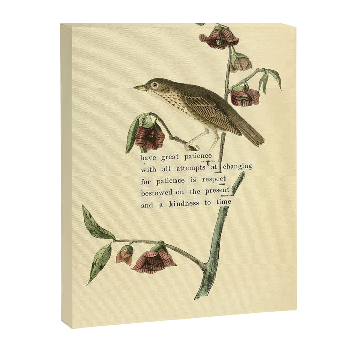 Bird Divinations: Dwarf Thrush (about: almanacofbirds.org) Canvas Print Gallery Image 1